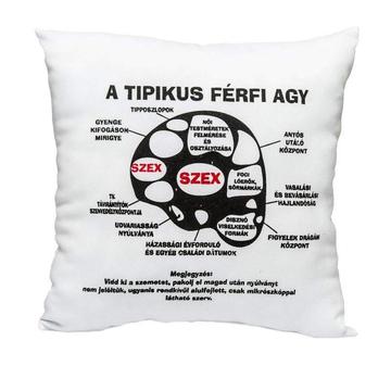 Vicces párna ”Férfi agy”