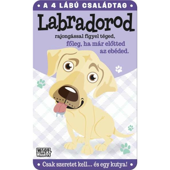 Fém ajtótábla Labrador