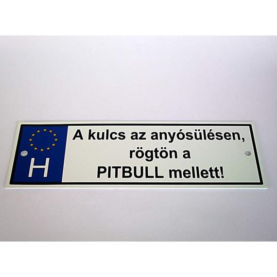Rendszámtábla A kulcs az anyósülésen...