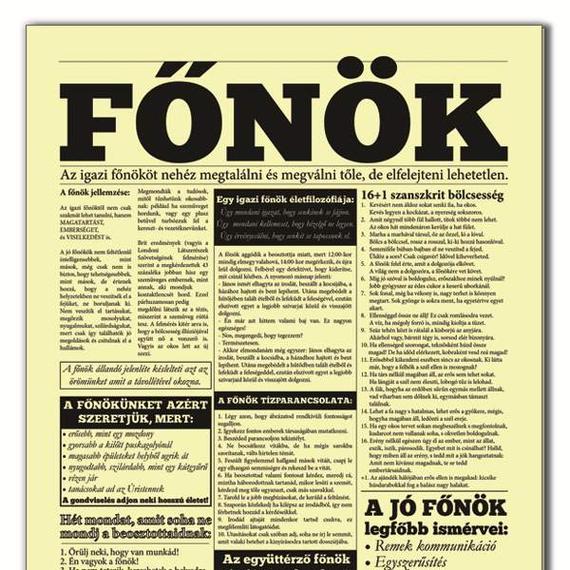 Újság Főnök