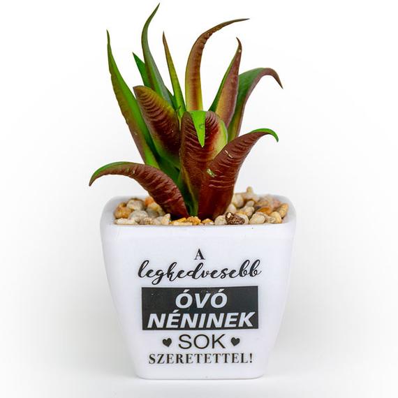 Beszédes pozsgás - A legkedvesebb óvónéninek sok.......
