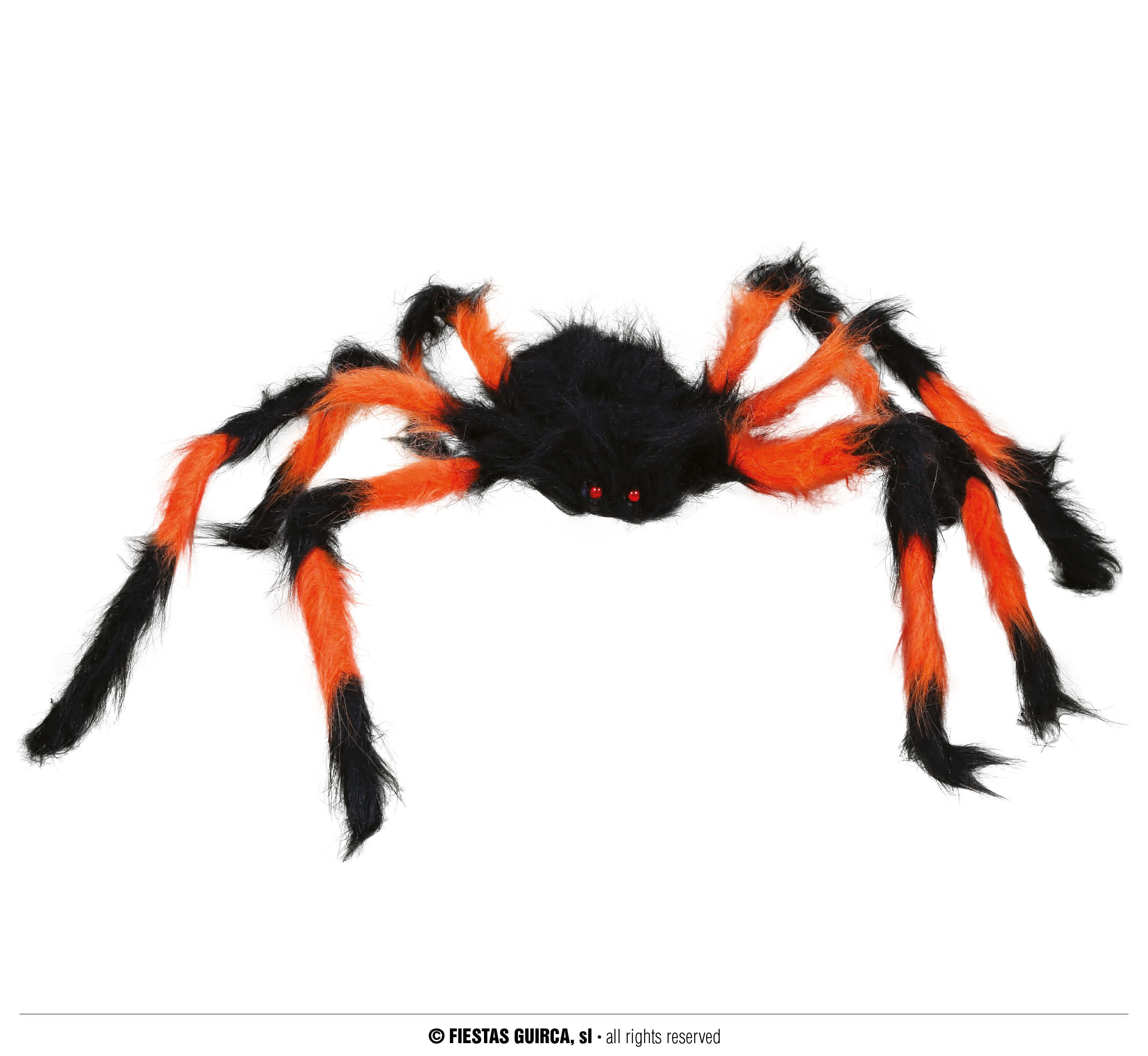 Giga méretű szőrös pók (75 cm) 