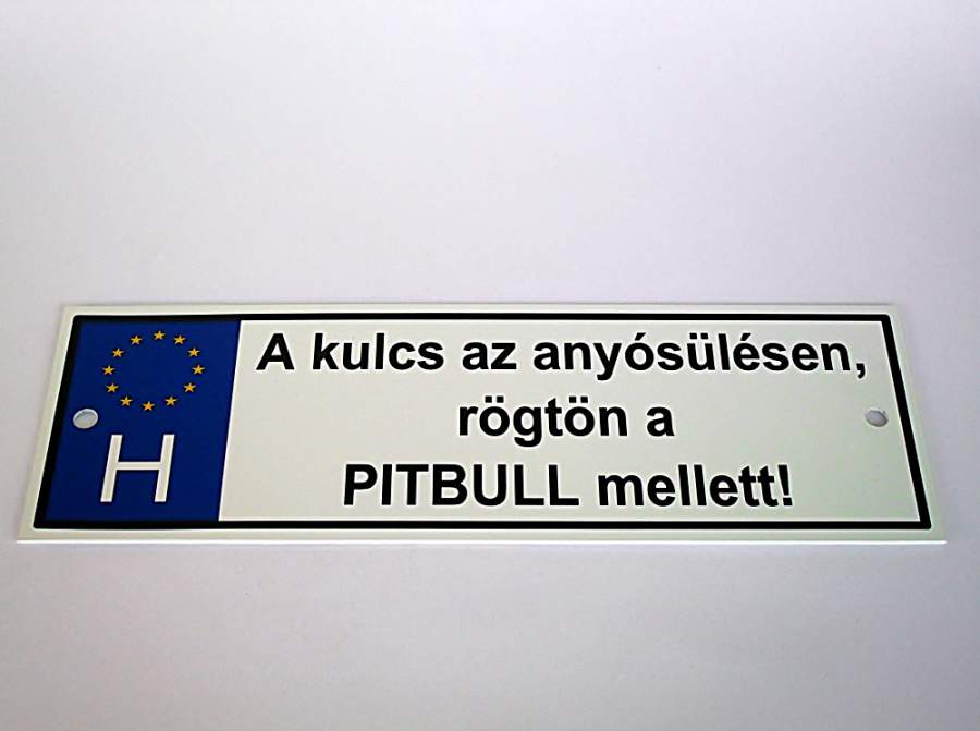 Rendszámtábla A kulcs az anyósülésen...